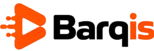barqis_logo_transparent-removebg-preview